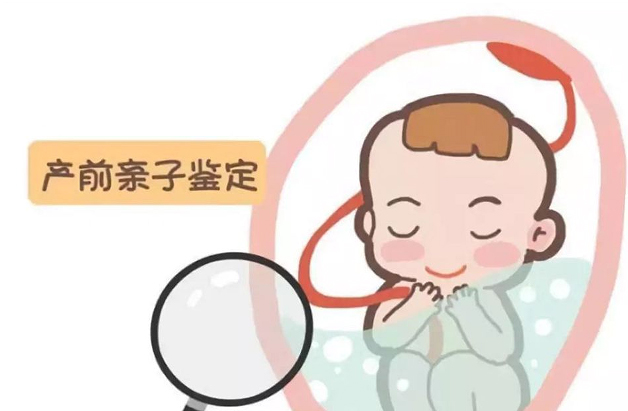浙江孕期亲子鉴定怎么做,浙江孕期亲子鉴定机构预约